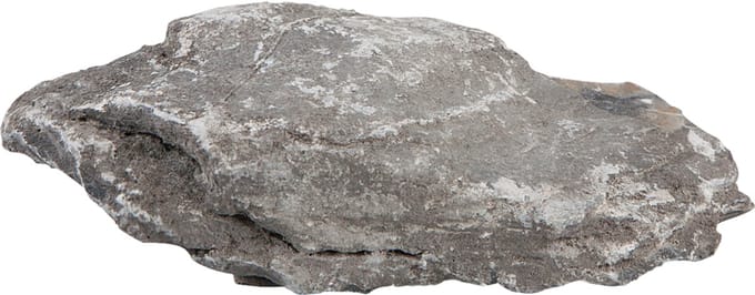 Sera Rock Gray Mountain jun-42943