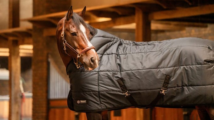 Trust Staldeken 200 gr Tetris Navy - 185 - Regendeken | Staldekens paard