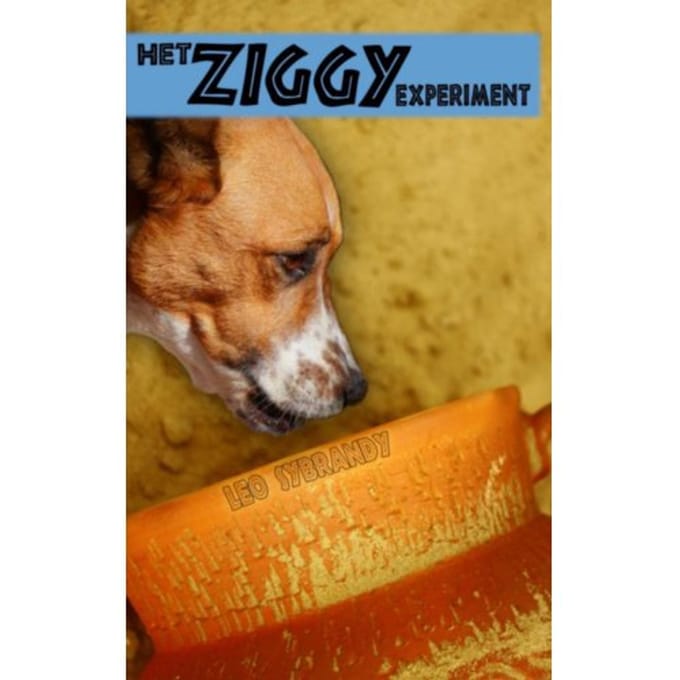 Het Ziggy Experiment - Leo Sybrandy
