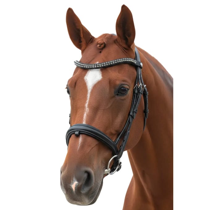 Gecombineerd hoofdstel met neusriem Canter Totalis