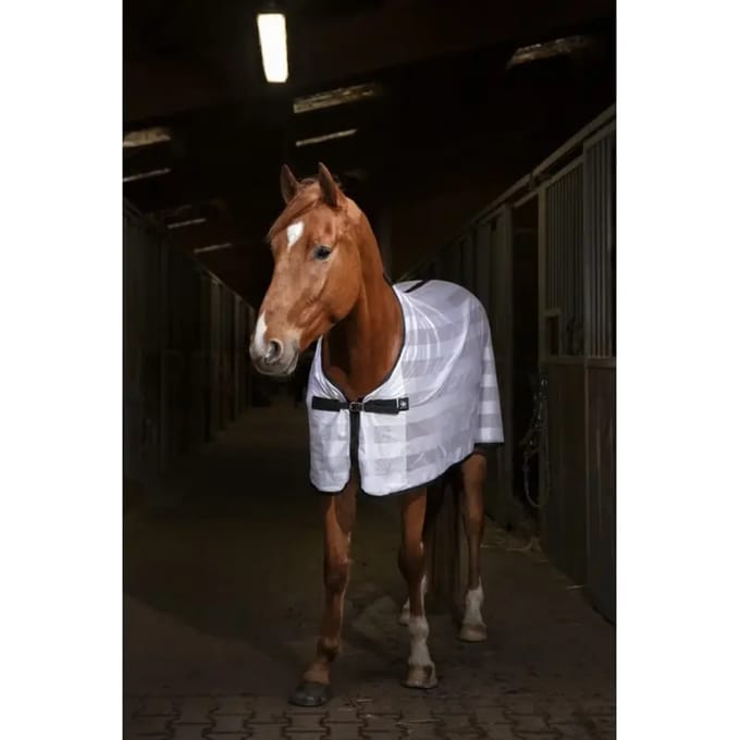 Paardenhemd Riding World Mesh 0g