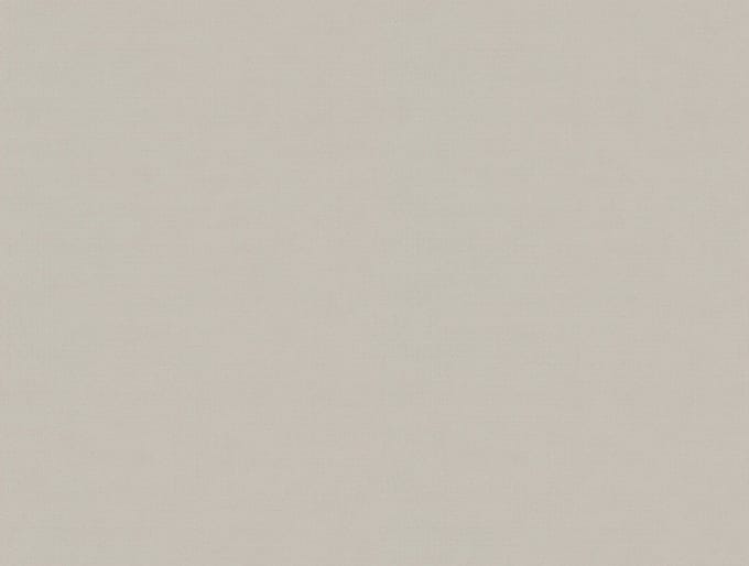 Zambaiti Vinylbehang Z54512 - Fuksas - Uni Zilver - 70cm x 10.05m