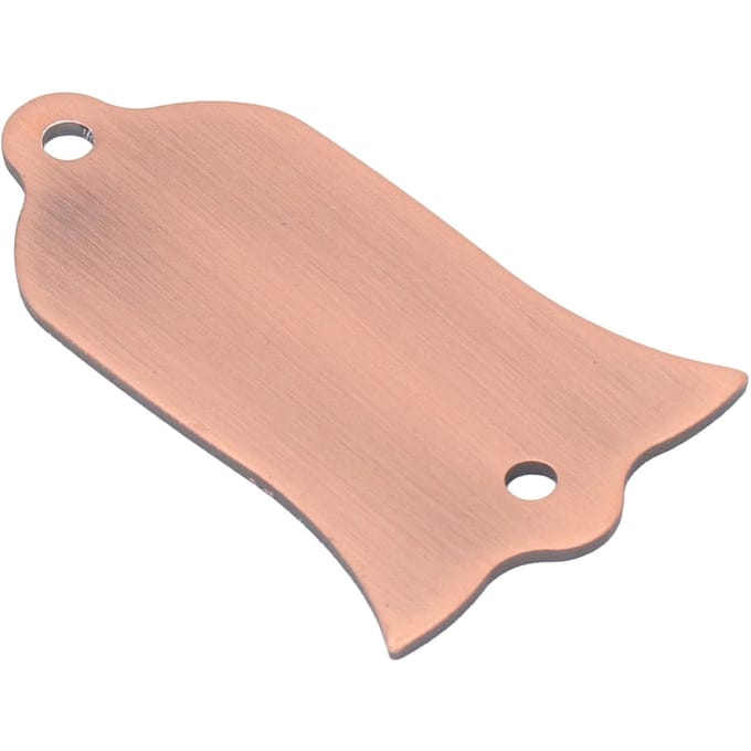 Gitaar Truss Rod Cover Metaal Glad Oppervlak Gitaar Truss Rod Cover Plaat Vervanging beige