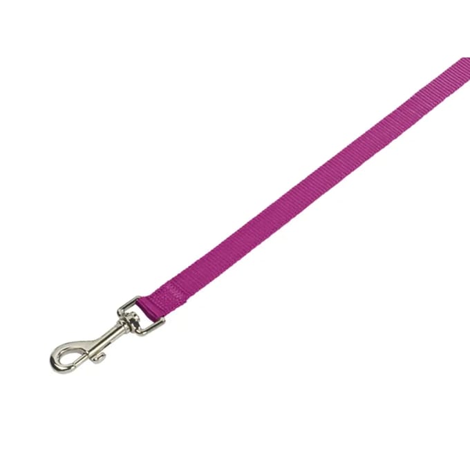 Nobby Classic Hondenlijn - Nylon - Framboos - M-L - Breedte 20 mm - Lengte 120 cm