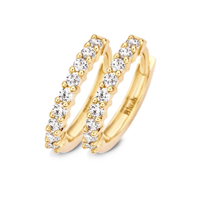 Blush Oorbellen 7166YZI - Geel Goud (14krt.) met Zirconia