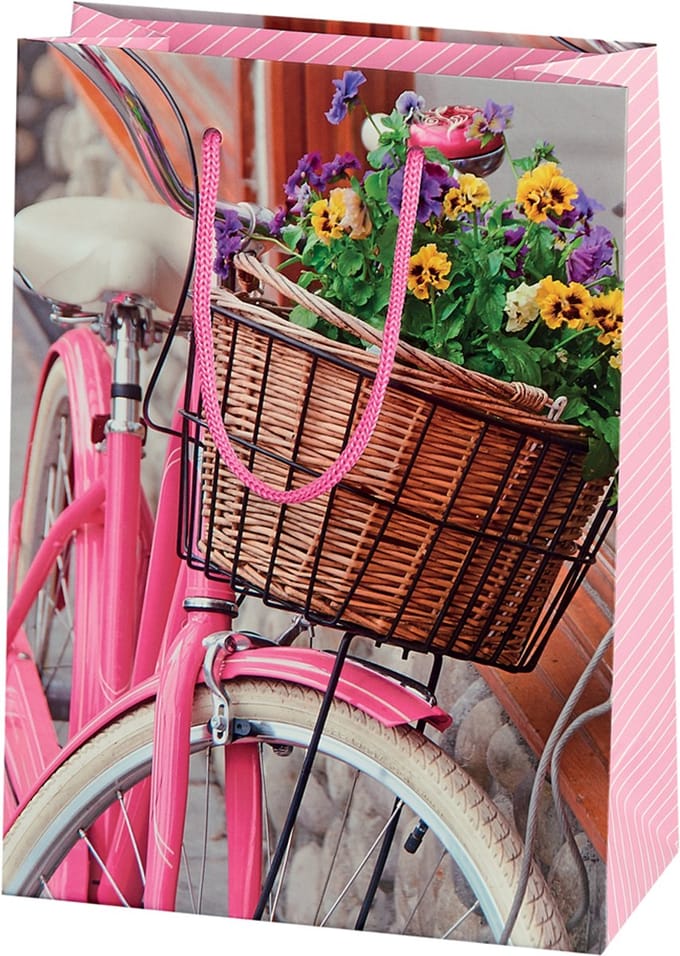 SUSY CARD cadeautas Bicycle