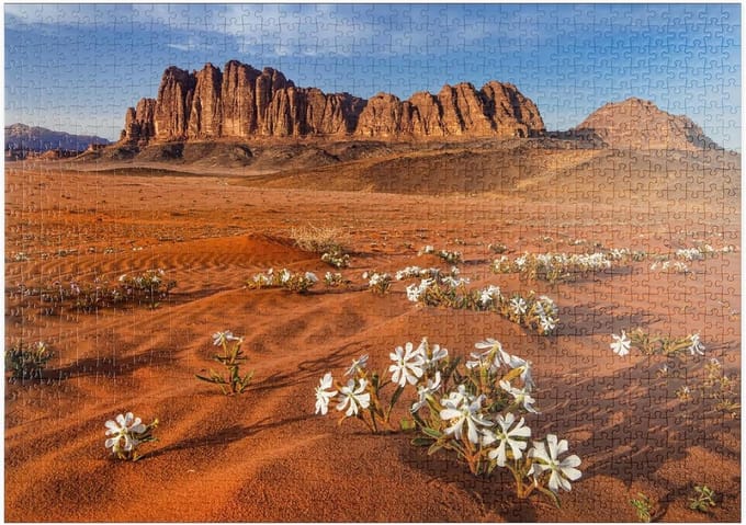 Legpuzzel - Puzzelstukjes - Ontspanning thuis - FSC-gecertificeerd papier - 1000 Stukjes - Natuurlijk