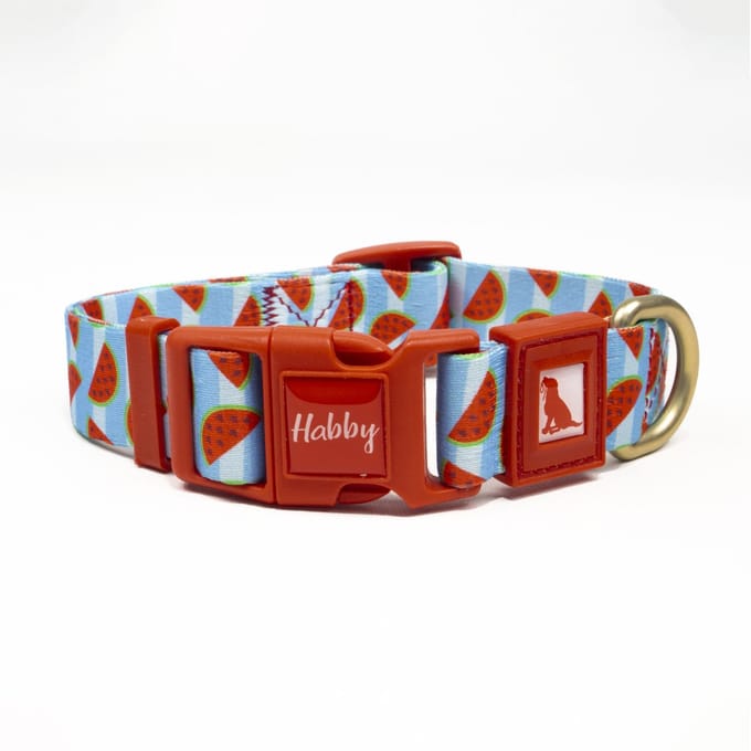 Luxe Halsband voor Honden-Verstelbaar 27 Cm-39 Cm x 2,5 Cm-Watermelon