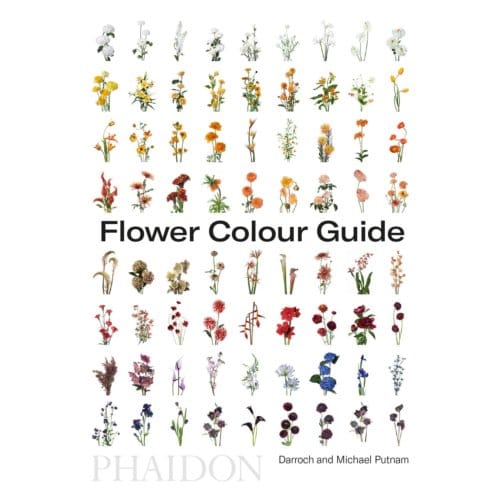 Flower Colour Guide - Taylor Putnam