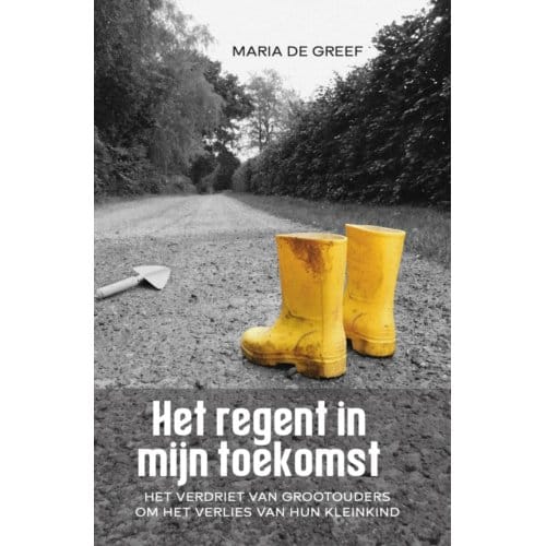 Het Regent In Mijn Toekomst - Maria de Greef