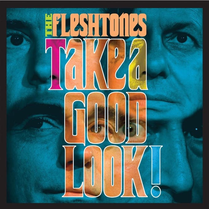 Take A Good Look - Fleshtones