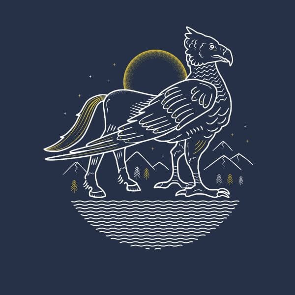 Harry Potter Scheurbek dames t-shirt - Navy - L