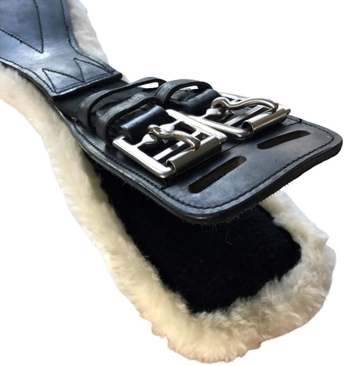 Pagony Dressuursingel Bont - Maat: 55 - Zwart - Leer