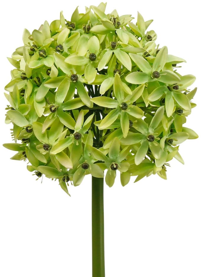 Sierui Allium, zijden bloem, kunstbal prei groen Ø20cm L72cm