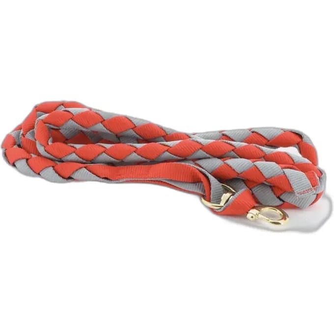 Amerikaans paard lanyard Norton