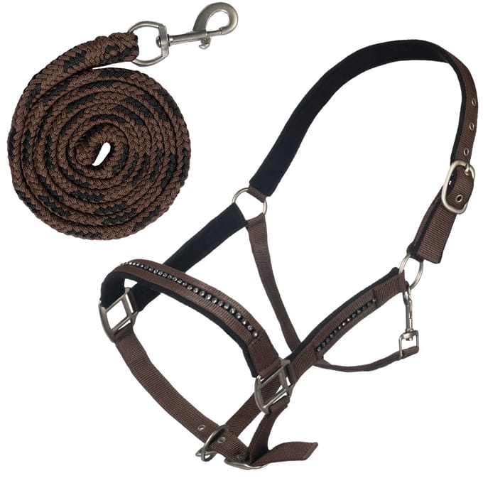 Halster voor paard met musketon HKM