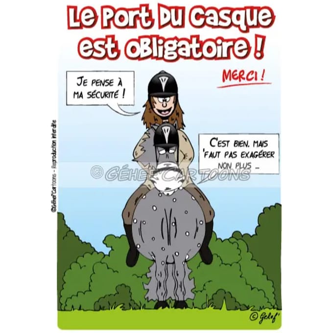Humoristische helm plaquette Fr8Man