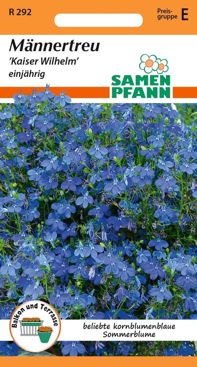Lobelia 'Kaiser Wilhelm' - Bloemzaden