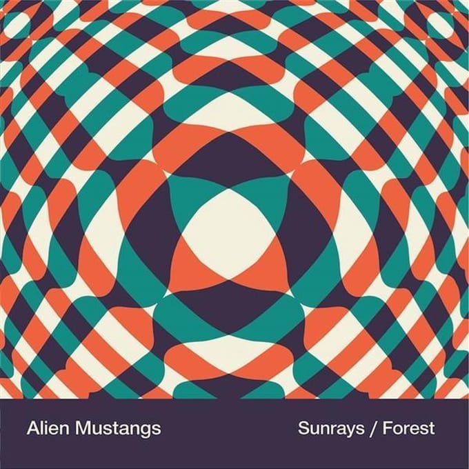 Sunrays/Forest