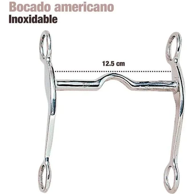 Mors voor Amerikaanse paard Zaldi 255291