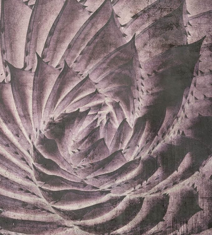 Fotobehang - Cactus Abstract 225x250cm - Vliesbehang