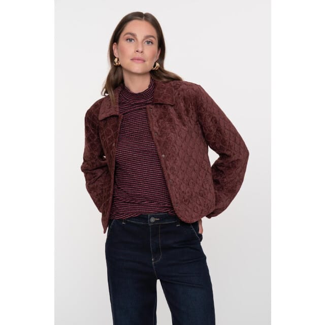 Geisha 55800-10 jacket quilted velvet
