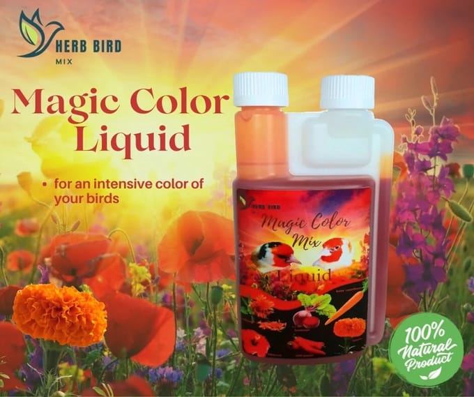De Imme Vitamine A - Vitamine A - Supplementen - Vogelvoer