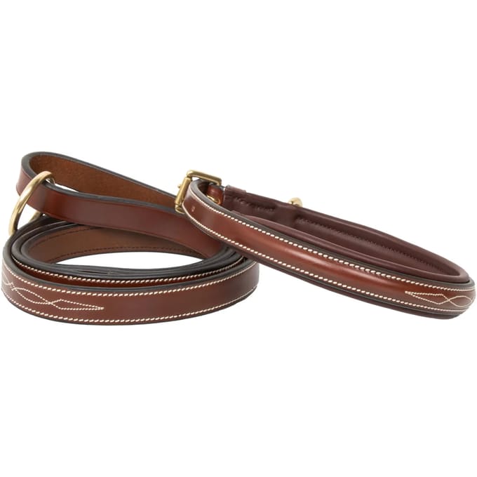 Hondenhalsband HV Polo Legacy
