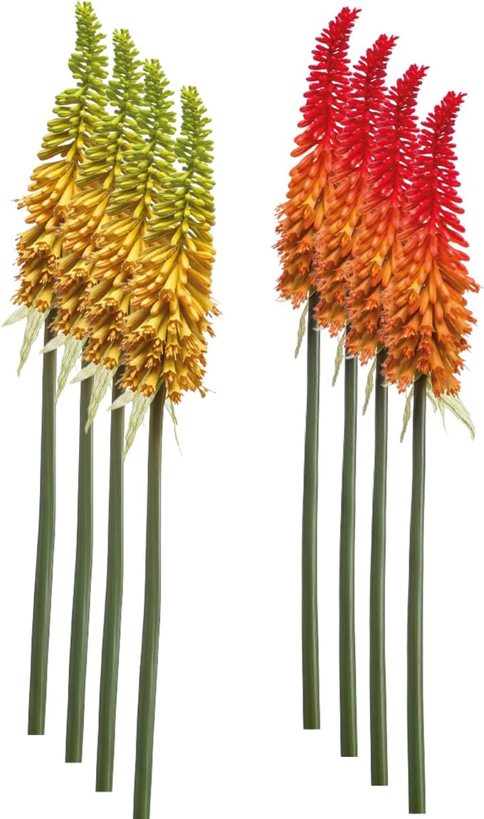 Emerald - Kunstbloem Kniphofia 85cm - Set van 8 - Kunstplant voor binnen