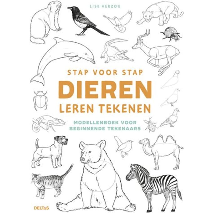 Stap Voor Stap Dieren Leren Tekenen - Lise Herzog