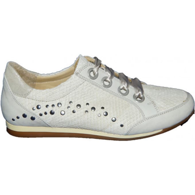Footnotes 62.006 wijdte h