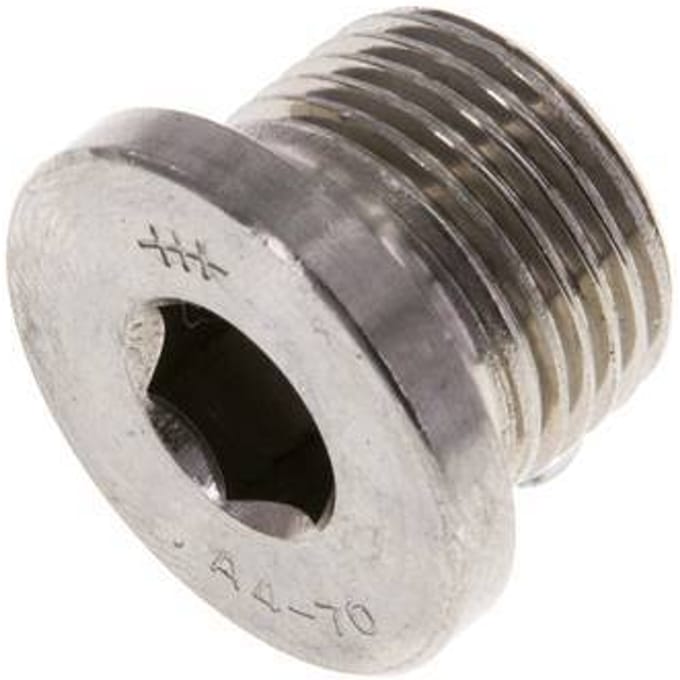 G 3/8'' RVS Plug met Binnenzeskant 40 Bar