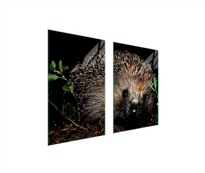 TMK ArtDeko - Panbeschermer - 65x52 cm - Glas - Veelkleurig