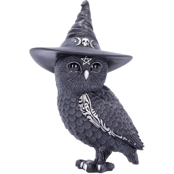 Nemesis Now Owlocen Unisex beeld - zwart - Standard