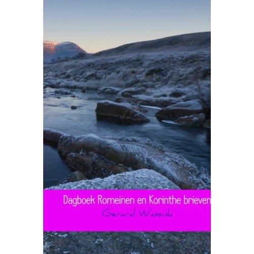 Dagboek Romeinen En Korinthe Brieven - Gerard Wassink