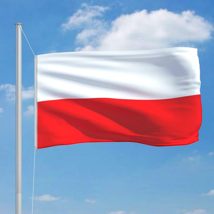 Vidaxl Drapeau de la Pologne, 90X150 Cm