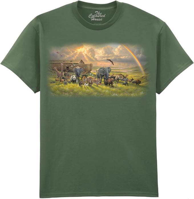 Ark van Noach A New Beginning The Coloured House T-shirt S