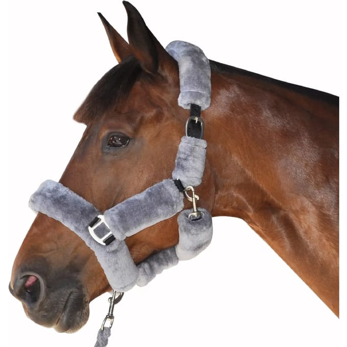 Paardenhalster Canter