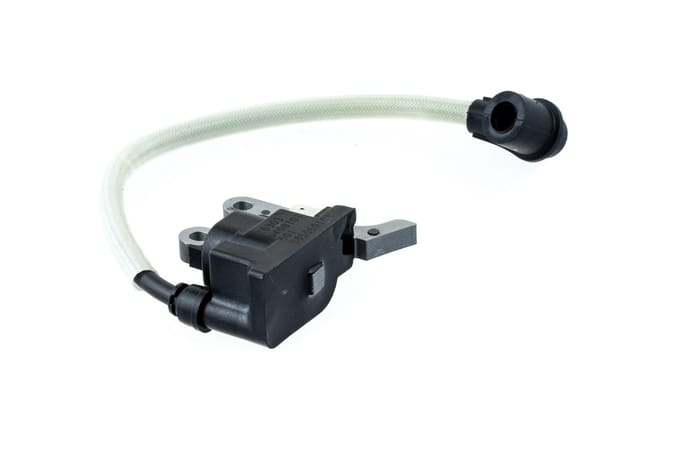 Ignition module assy