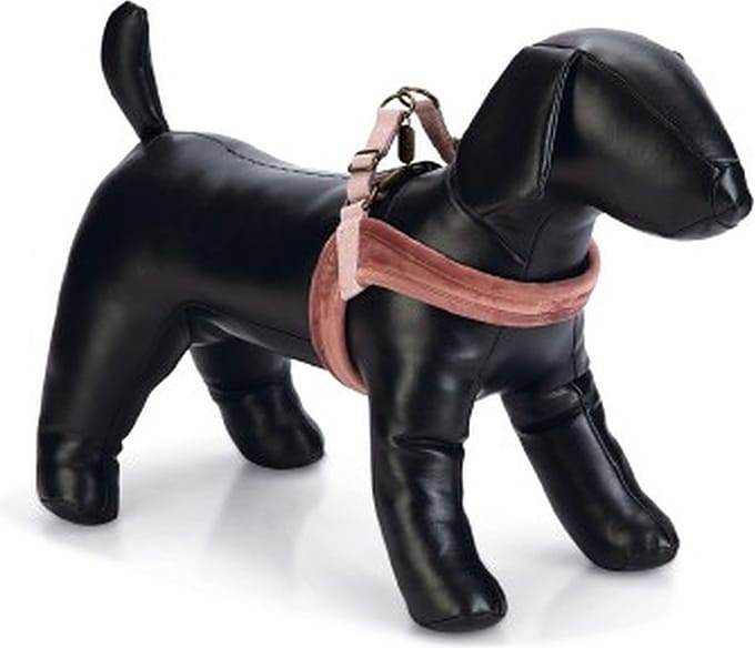 Designed by Lotte Velura - Hondentuig - Roze - M - 20 mm x 58 cm