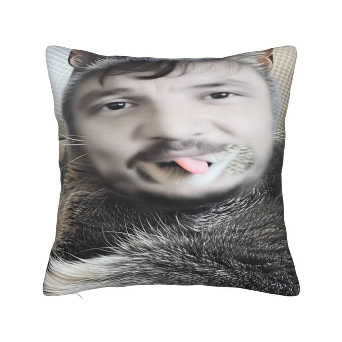 Housse de coussin Jose Pedros Balmaceda Pascal Saint Carré Housse de coussin Originale Pour Canapé Décoration Intérieure 30x50cm