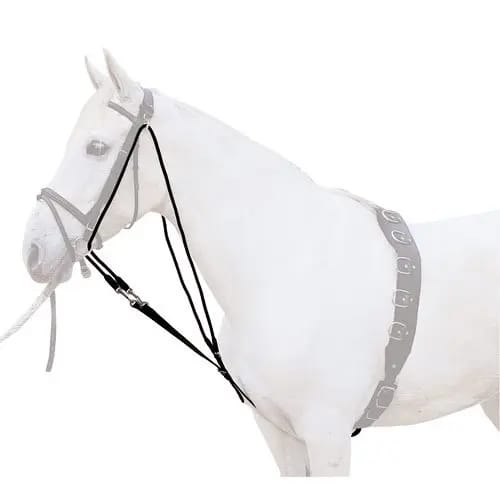Gogue voor paard Lexhis