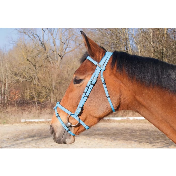 Hoofdstellen T de T Biotack®