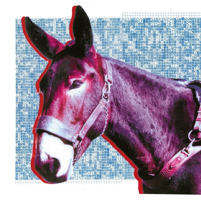 Ultimate Success Today - Protomartyr