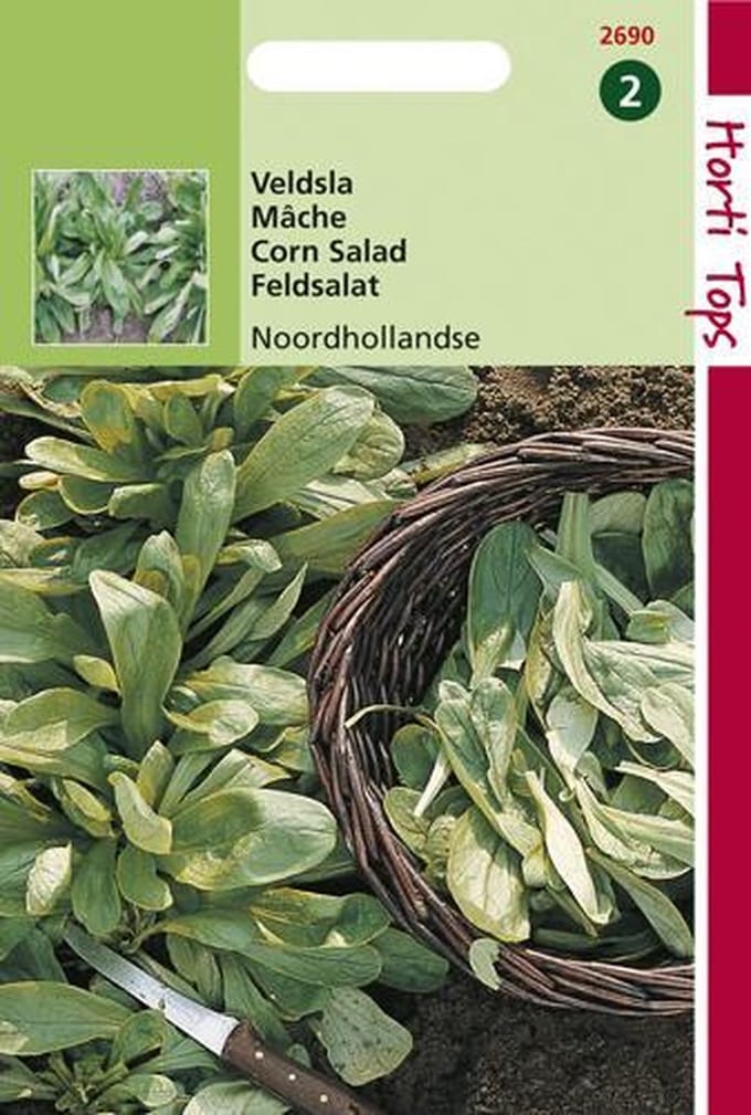 Hortitops Zaden - Veldsla Grote Noordhollandse