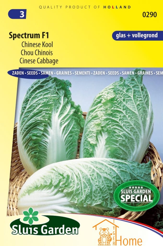 Sluis Garden - Chinese Kool Spectrum F1