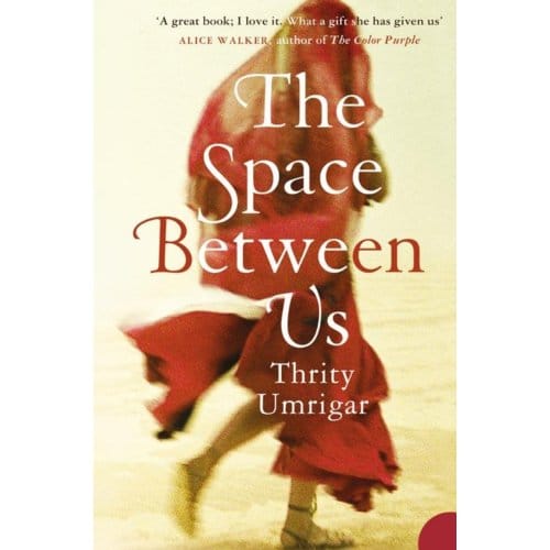 The Space Between Us - Thrity Umrigar
