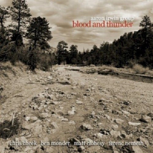 Blood And Thunder - Aaron Irwin -group-