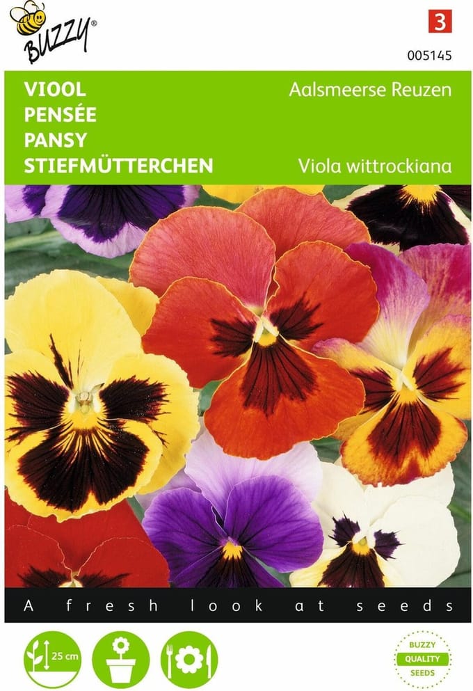 2 stuks Viola, Viool Aalsmeerse Reuzen gemengd
