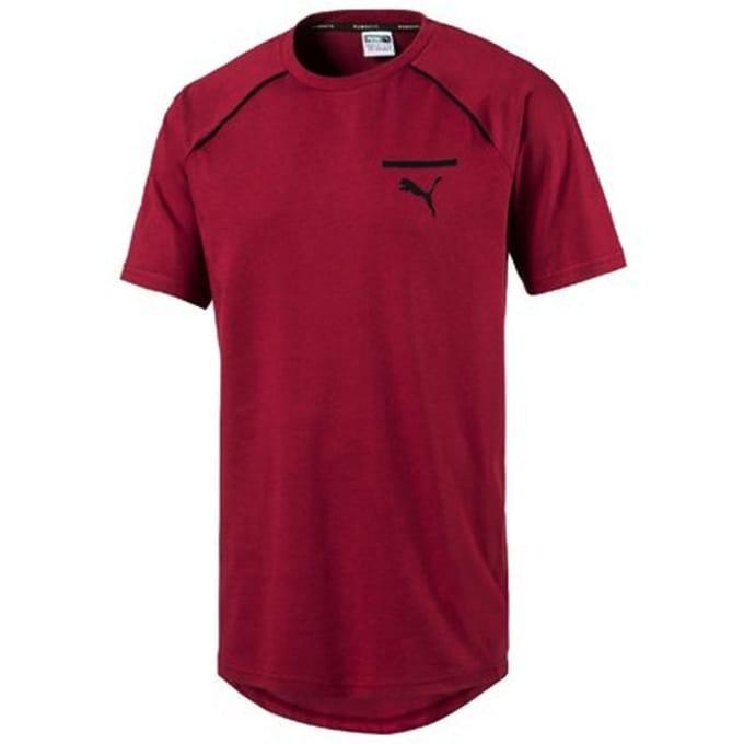 Puma Heren Evolution Core T-Shirt Casual Sport Top Bourgondië 573337 09